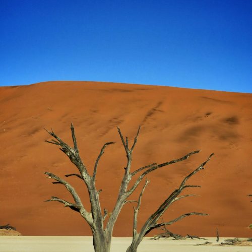 anika-de-klerk-3VsrKO72rVw-unsplash