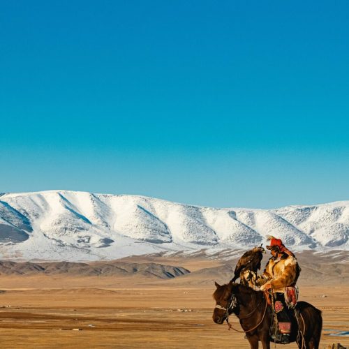 fadhil-abhimantra-qGpfKldqKq0-unsplash
