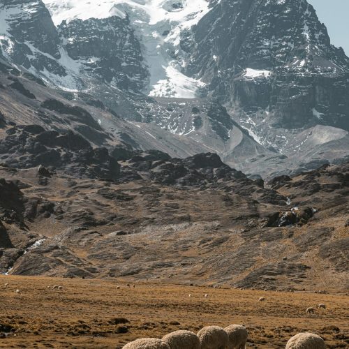 gabriel-ramos-zbgtt0o3b0I-unsplash