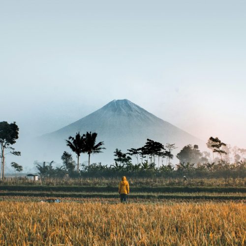 ifan-bima-B04Xpnu5JQ4-unsplash