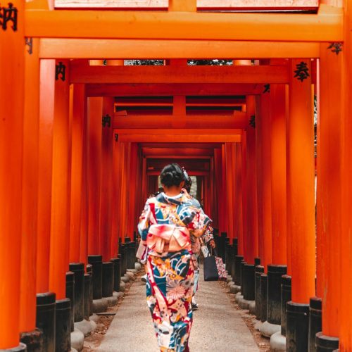 zhenyu-luo-YrOnPbxMFSQ-unsplash